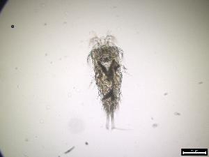  ( - 809_7-6-28)  @11 [ ] Unspecified (default): All Rights Reserved  Frederic Bonk Unspecified