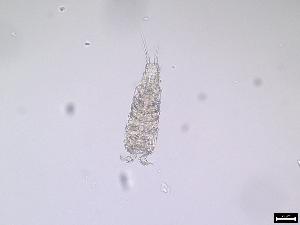  ( - 1101_9-9-47)  @11 [ ] Unspecified (default): All Rights Reserved  Frederic Bonk Unspecified