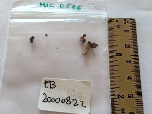  (Helvella capucina - BGE_00474_H03)  @11 [ ] Copyright (2025) Unspecified University of Trento