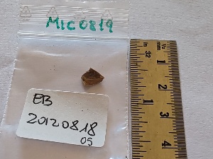  ( - BGE_00477_E07)  @11 [ ] Copyright (2025) Unspecified University of Trento