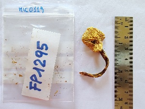  ( - BGE_00480_B07)  @11 [ ] Copyright (2025) Unspecified University of Trento