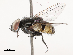  ( - CBG-B04792-E01)  @11 [ ] CreativeCommons - Attribution Share - Alike (2025) CBG Photography Group Centre for Biodiversity Genomics