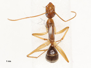  ( - CBG-B00185-B02)  @11 [ ] CreativeCommons - Attribution Share - Alike (2025) CBG Photography Group Centre for Biodiversity Genomics