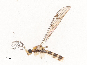  ( - CBG-B00185-H02)  @11 [ ] CreativeCommons - Attribution Share - Alike (2025) CBG Photography Group Centre for Biodiversity Genomics