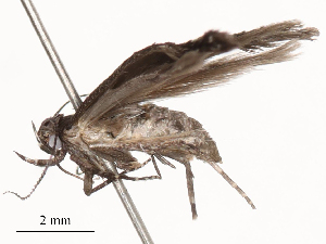  ( - CBG-B00194-B09)  @11 [ ] CreativeCommons - Attribution Share - Alike (2025) CBG Photography Group Centre for Biodiversity Genomics