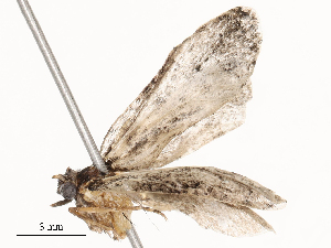  ( - CBG-B00194-E07)  @11 [ ] CreativeCommons - Attribution Share - Alike (2025) CBG Photography Group Centre for Biodiversity Genomics