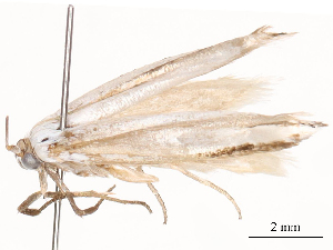  ( - CBG-B00194-E09)  @11 [ ] CreativeCommons - Attribution Share - Alike (2025) CBG Photography Group Centre for Biodiversity Genomics