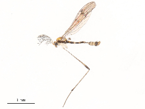  ( - CBG-B00194-H03)  @11 [ ] CreativeCommons - Attribution Share - Alike (2025) CBG Photography Group Centre for Biodiversity Genomics