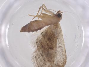  ( - CBG-B05206-E03)  @11 [ ] CreativeCommons - Attribution Share - Alike (2025) Centre for Biodiversity Genomics Centre for Biodiversity Genomics