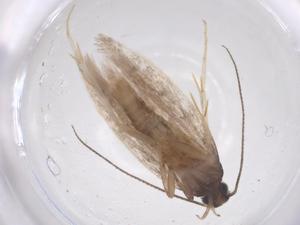  ( - CBG-B05206-E12)  @11 [ ] CreativeCommons - Attribution Share - Alike (2025) Centre for Biodiversity Genomics Centre for Biodiversity Genomics