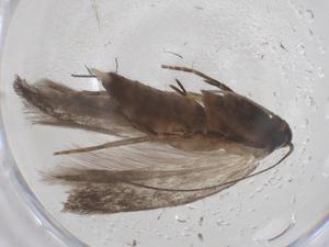  ( - CBG-B05212-C07)  @11 [ ] CreativeCommons - Attribution Share - Alike (2025) Centre for Biodiversity Genomics Centre for Biodiversity Genomics