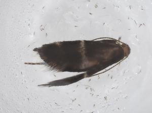  ( - CBG-B05212-E08)  @11 [ ] CreativeCommons - Attribution Share - Alike (2025) Centre for Biodiversity Genomics Centre for Biodiversity Genomics