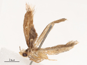  ( - CBG-B19171-F05)  @11 [ ] CreativeCommons - Attribution Share - Alike (2025) CBG Photography Group Centre for Biodiversity Genomics