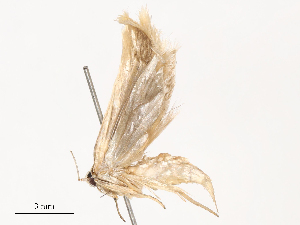  ( - CBG-B02543-H02)  @11 [ ] CreativeCommons - Attribution Share - Alike (2025) CBG Photography Group Centre for Biodiversity Genomics