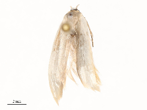  ( - CBG-B02552-E08)  @11 [ ] CreativeCommons - Attribution Share - Alike (2025) CBG Photography Group Centre for Biodiversity Genomics