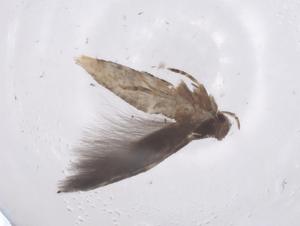  ( - CBG-B00198-E07)  @11 [ ] CreativeCommons - Attribution Share - Alike (2025) Centre for Biodiversity Genomics Centre for Biodiversity Genomics