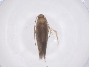  ( - CBG-B00365-F10)  @11 [ ] CreativeCommons - Attribution Share - Alike (2025) Centre for Biodiversity Genomics Centre for Biodiversity Genomics