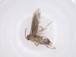  ( - CBG-B03126-B02)  @11 [ ] CreativeCommons - Attribution Share - Alike (2025) Centre for Biodiversity Genomics Centre for Biodiversity Genomics