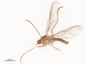  ( - CBG-B07458-H01)  @11 [ ] CreativeCommons - Attribution Share - Alike (2025) CBG Photography Group Centre for Biodiversity Genomics