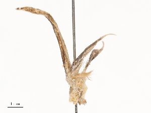  ( - CBG-B19968-G02)  @11 [ ] CreativeCommons - Attribution Share - Alike (2025) CBG Photography Group Centre for Biodiversity Genomics