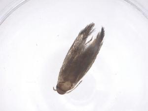  ( - CBG-B20100-G01)  @11 [ ] CreativeCommons - Attribution Share - Alike (2025) Centre for Biodiversity Genomics Centre for Biodiversity Genomics