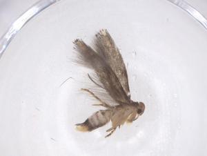  ( - CBG-B20100-G02)  @11 [ ] CreativeCommons - Attribution Share - Alike (2025) Centre for Biodiversity Genomics Centre for Biodiversity Genomics