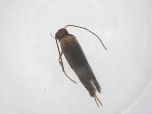  ( - CBG-B20101-A12)  @11 [ ] CreativeCommons - Attribution Share - Alike (2025) Centre for Biodiversity Genomics Centre for Biodiversity Genomics