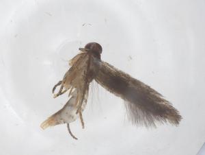  ( - CBG-B20101-D03)  @11 [ ] CreativeCommons - Attribution Share - Alike (2025) Centre for Biodiversity Genomics Centre for Biodiversity Genomics