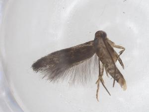  ( - CBG-B20101-E10)  @11 [ ] CreativeCommons - Attribution Share - Alike (2025) Centre for Biodiversity Genomics Centre for Biodiversity Genomics