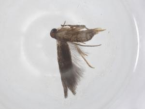  ( - CBG-B20103-D02)  @11 [ ] CreativeCommons - Attribution Share - Alike (2025) Centre for Biodiversity Genomics Centre for Biodiversity Genomics