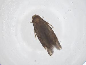  ( - CBG-B20107-F11)  @11 [ ] CreativeCommons - Attribution Share - Alike (2025) Centre for Biodiversity Genomics Centre for Biodiversity Genomics