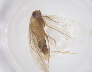  ( - CBG-B20305-E09)  @11 [ ] CreativeCommons - Attribution Share - Alike (2025) Centre for Biodiversity Genomics Centre for Biodiversity Genomics