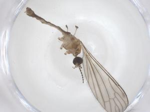  ( - CBG-B21940-E03)  @11 [ ] CreativeCommons - Attribution Share - Alike (2025) Centre for Biodiversity Genomics Centre for Biodiversity Genomics