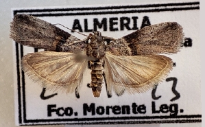  ( - CLV49311)  @11 [ ] CreativeCommons - Attribution Share-Alike (2025) Unspecified Institut National de la Recherche Agronomique, Zoologie Forestiere