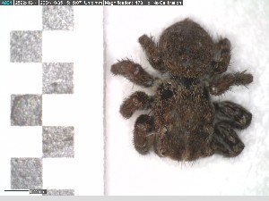  ( - Hesse_6_24)  @11 [ ] c (2024) Kim L. Holzmann Julius-Maximilians-Universit&auml;t W&uuml;rzburg