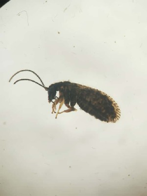  ( - HEM_11)  @11 [ ] Unspecified (default): All Rights Reserved  Unspecified Unspecified