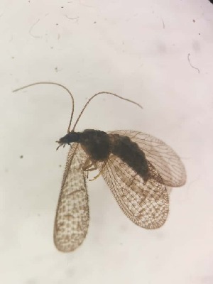  ( - HEM_13)  @11 [ ] Unspecified (default): All Rights Reserved  Unspecified Unspecified