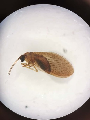  ( - HEM_53)  @11 [ ] Unspecified (default): All Rights Reserved  Unspecified Unspecified