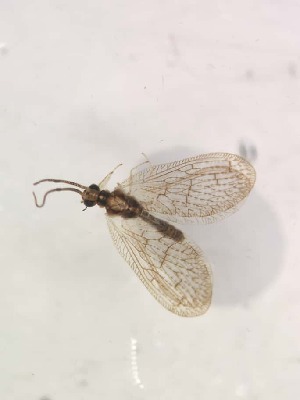  ( - HEM_54)  @11 [ ] Unspecified (default): All Rights Reserved  Unspecified Unspecified