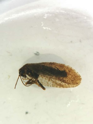  ( - HEM_59)  @11 [ ] Unspecified (default): All Rights Reserved  Unspecified Unspecified