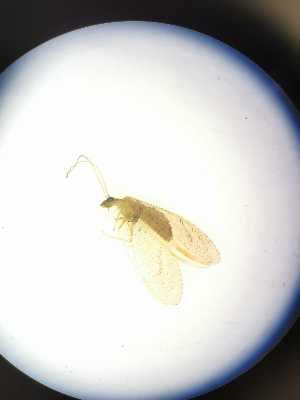  ( - HEM_72)  @11 [ ] Unspecified (default): All Rights Reserved  Unspecified Unspecified