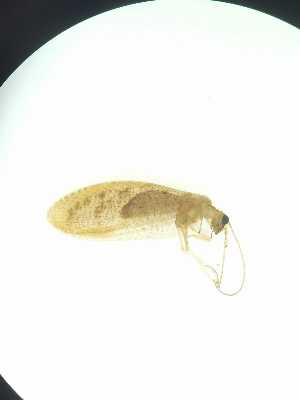  ( - HEM_73)  @11 [ ] Unspecified (default): All Rights Reserved  Unspecified Unspecified