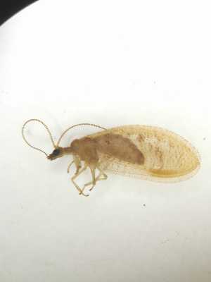  ( - HEM_74)  @11 [ ] Unspecified (default): All Rights Reserved  Unspecified Unspecified