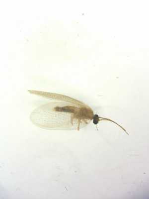  ( - HEM_82)  @11 [ ] Unspecified (default): All Rights Reserved  Unspecified Unspecified