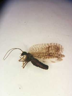  ( - HEM_90)  @11 [ ] Unspecified (default): All Rights Reserved  Unspecified Unspecified