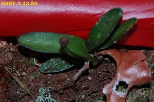  ( - DBEV.7.12.58)  @11 [ ] No Rights Reserved  Unspecified Unspecified