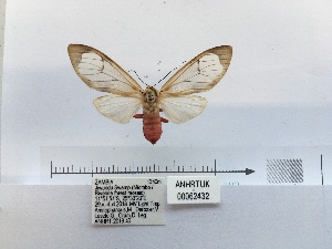  ( - ANHRTUK00062432)  @11 [ ] COPYRIGHT (2021) Unspecified ANHRT