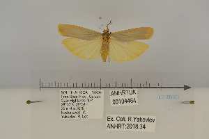  ( - ANHRT00104464)  @11 [ ] Copyright (2022) Unspecified ANHRT