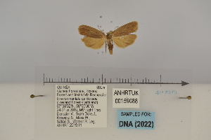 ( - ANHRT00159088)  @11 [ ] Copyright (2022) Unspecified ANHRT