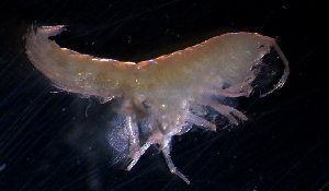  ( - 31797_27)  @13 [ ] Unspecified (default): All Rights Reserved  Unspecified Unspecified
